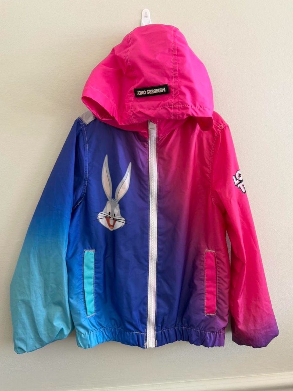 Looney Tubes Ombre Windbreaker Jacket - Pink & Blue